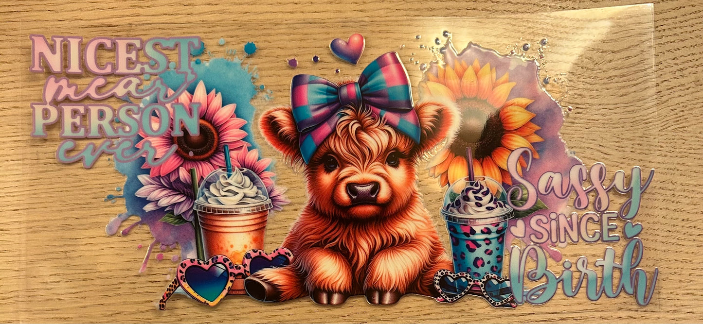 Nicest Mean Person ever Sassy Since Birth Decal Wrap