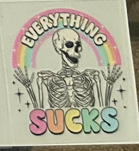 Everything Sucks