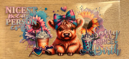 Nicest Mean Person ever Sassy Since Birth Decal Wrap