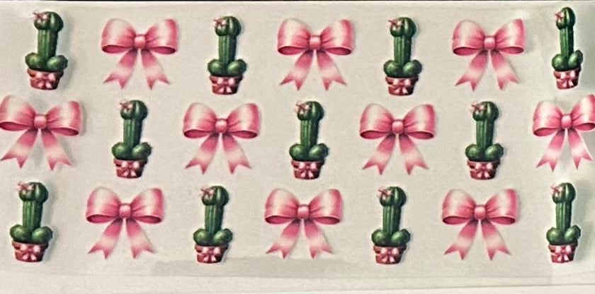 Succulents (ADULT VERSION)