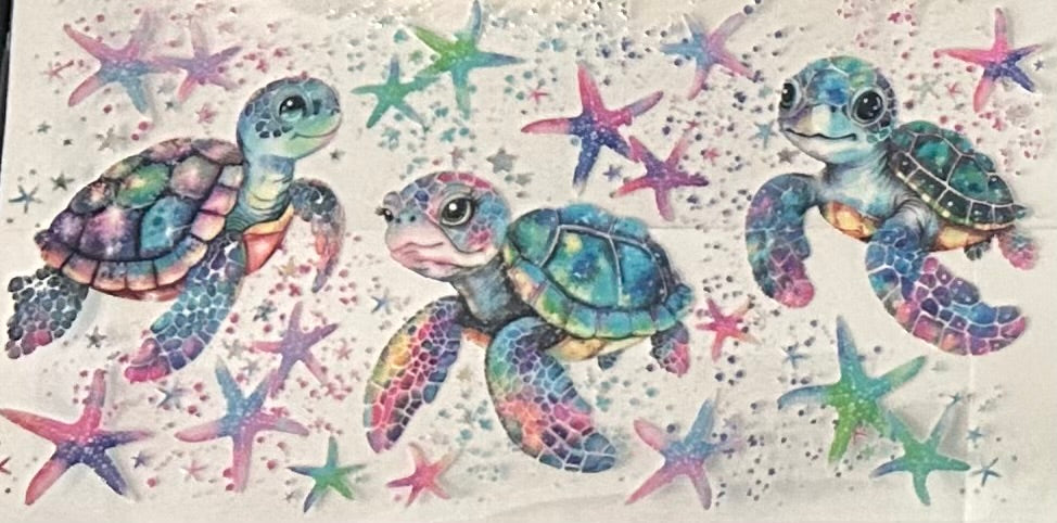 Sea Turtles
